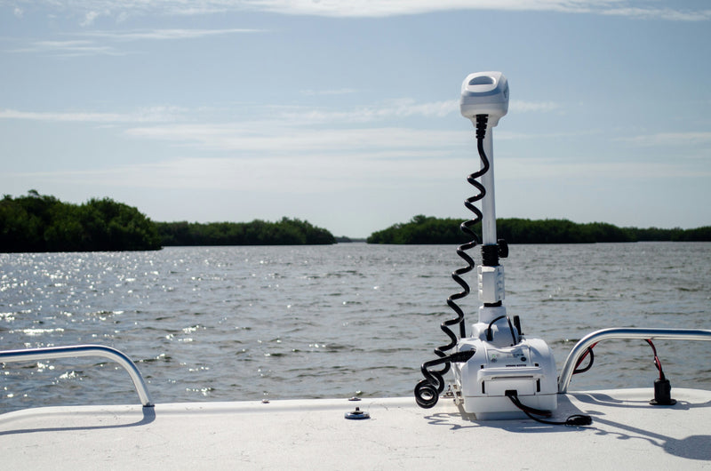 Trolling Motors