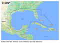 C-Map Reveal Coastal Gulf of Mexico and Bahamas