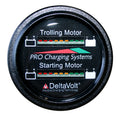 Dual Pro Battery Fuel Gauge for 2 - 12v Systems