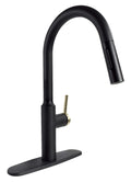 VALTERRA LLC PREMIUM SLIMLINE FAUCET BLACK [PF231780]