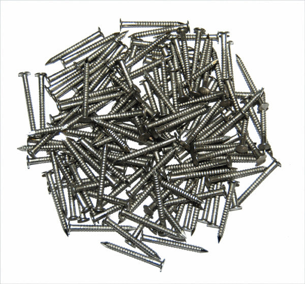 TAYLOR MADE 1-1/4' #12 SS NAIL (RING SHANK) [95999]