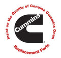 CUMMINS NW ONAN SWITCH KIT [309-0322]