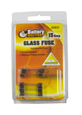 WIRTHCO AGC GLASS FUSE-15 AMP [24615]