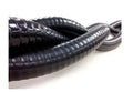 SIERRAMARINE 1 1/4' LIVE WELL HOSE 100' - SP [16-149-1140S]