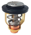 EMP THERMOSTAT 60? [75-75523]