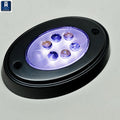 T-H MARINE BLACK OVAL COURTESY LED W/ MNT RING [OCL-1K-DP]