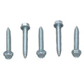 AP PRODUCTS 50PK 1-1/4' SCREWS [012-TR50 8 X 1-1/4]