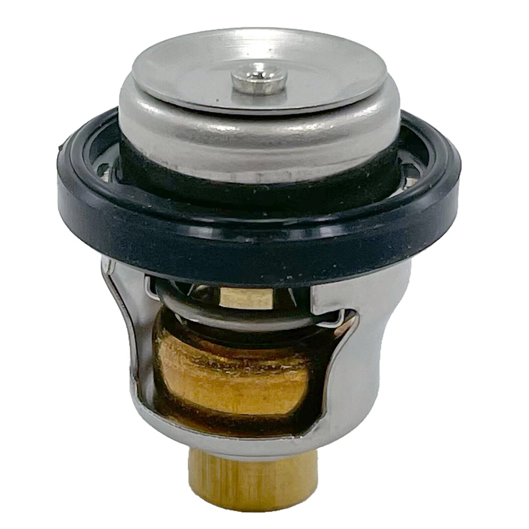 EMP THERMOSTAT 60 C [75-02664]