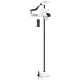 Minn Kota Riptide Instinct Quest 90/115 87in 24/36v Wireless Remote,