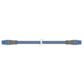 Raymarine A06036 SeatalkNG 5M Backbone Cable