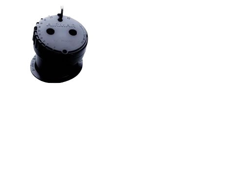 Raymarine P79 in-Hull Transducer for DSM300